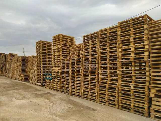Meşe; Ankara palet, palet imalatı, plastik palet, euro palet, 2.el palet fiyatları sahibinden, ikinci el palet satışı